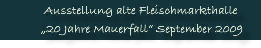 Ausstellung alte Fleischmarkthalle
 „20 Jahre Mauerfall“ September 2009